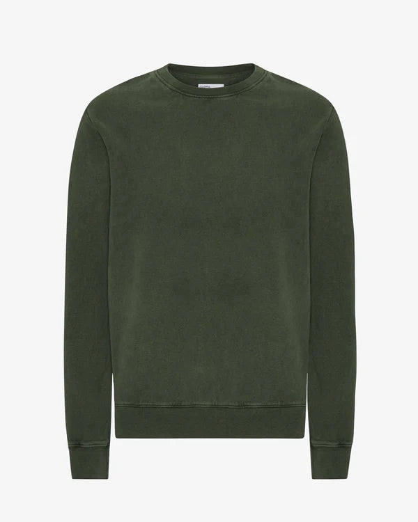 Colorful Standard Sweatshirt Midnight Forest