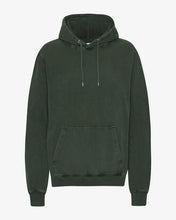 Load image into Gallery viewer, Colorful Standard Hoody Midnight Forest
