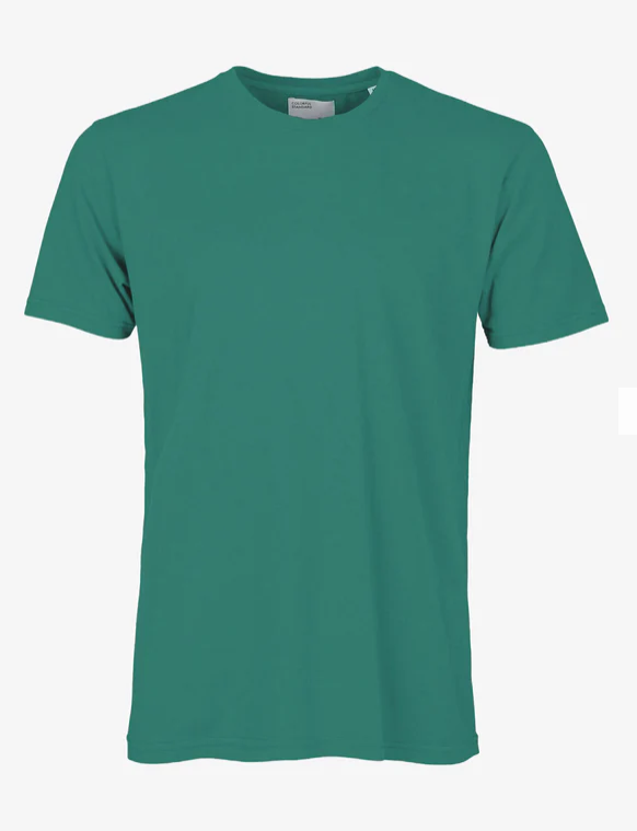 COLORFUL STANDARD TEE PINE GREEN