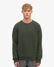 Load image into Gallery viewer, Colorful Standard Sweatshirt Midnight Forest
